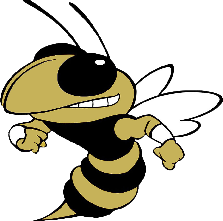 Hornet Clipart Greenville - Tl Hanna High School Logo - Png Download (1054x951), Png Download
