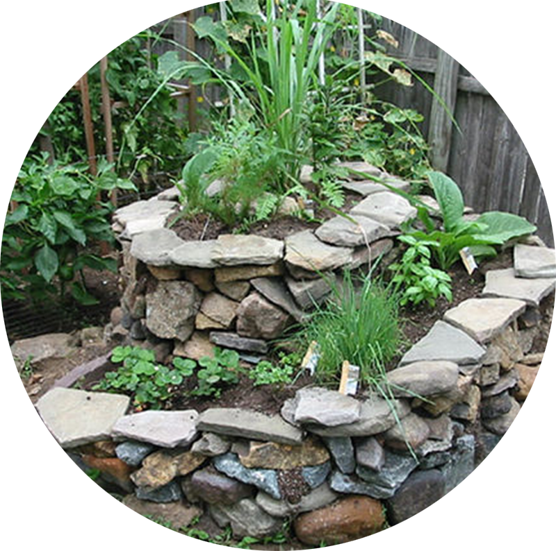 Rockery Designs In Gardens Clipart (800x794), Png Download
