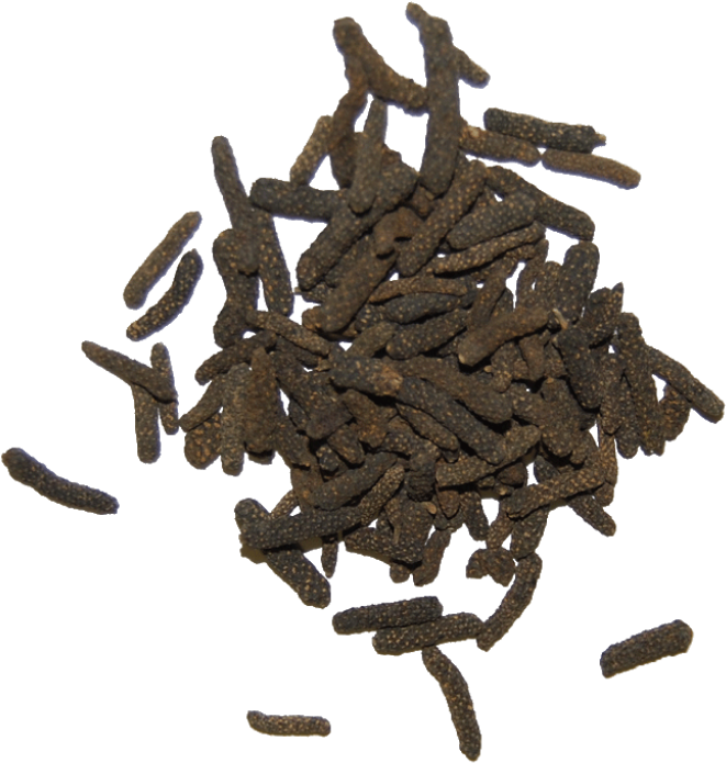 Javanese Long Pepper Clipart (661x695), Png Download