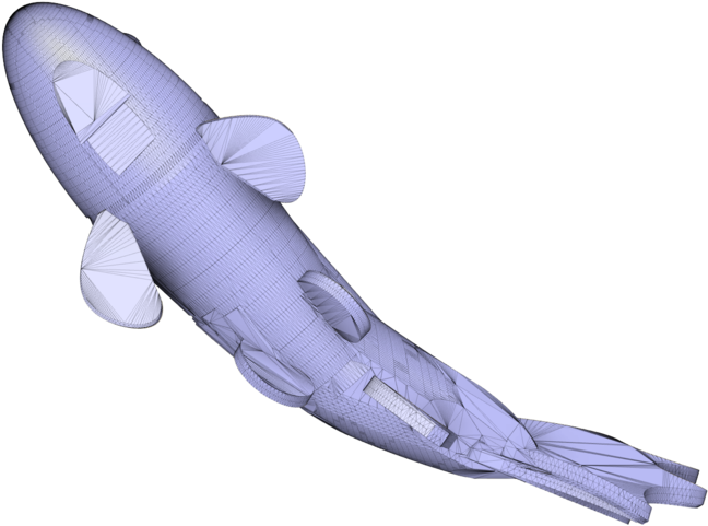 Koi Fish V2 - Tiger Shark Clipart (1000x563), Png Download