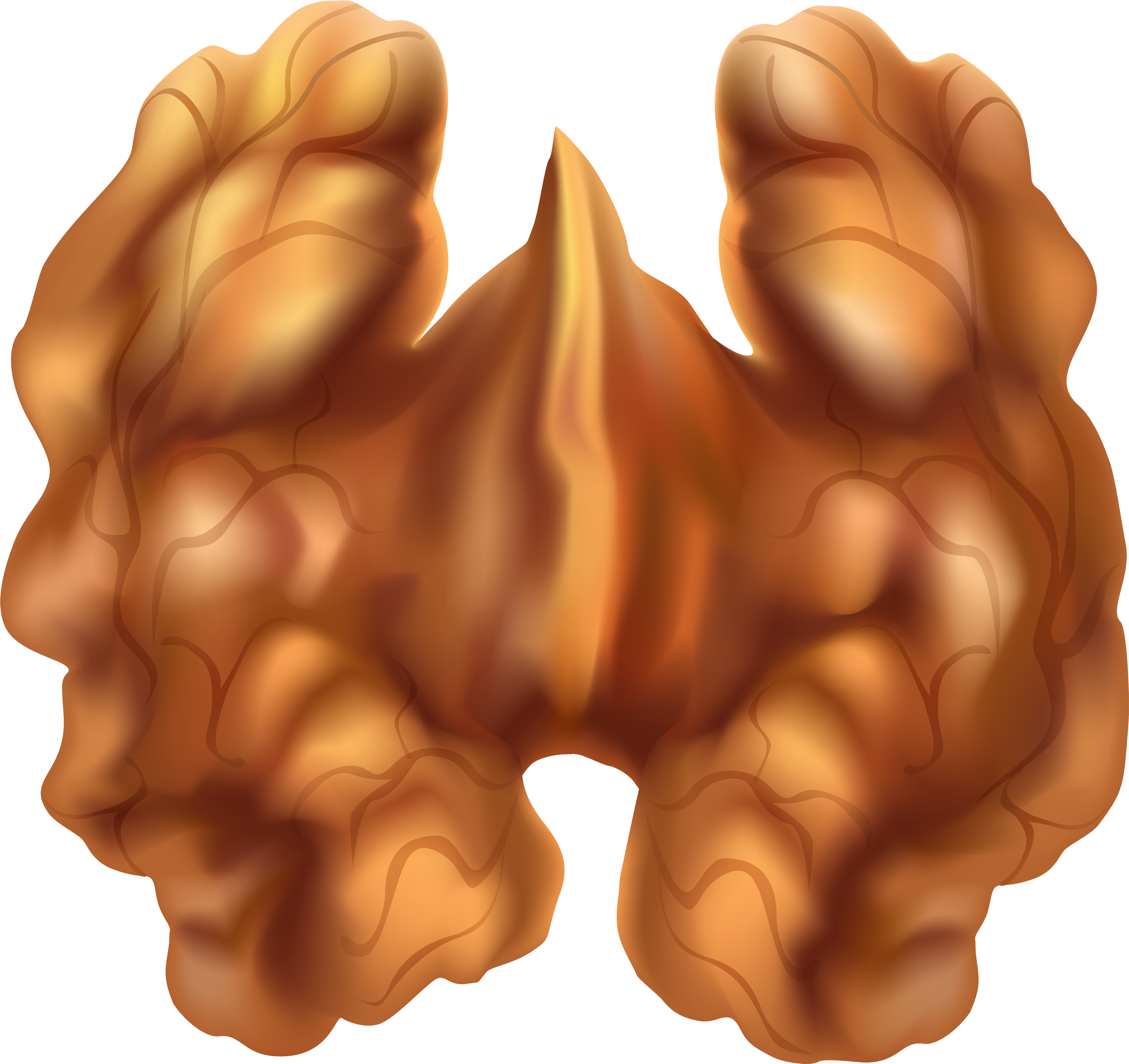 Half Walnut Png Clip Art - Illustration Transparent Png (5000x4714), Png Download