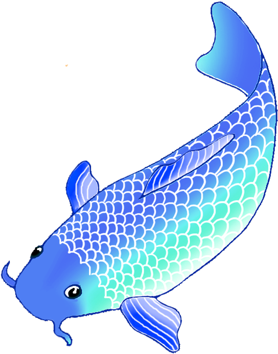 Colorful Koi Fish Drawings Vector Black And White - Koi Fish Clipart Png Transparent Png (650x825), Png Download
