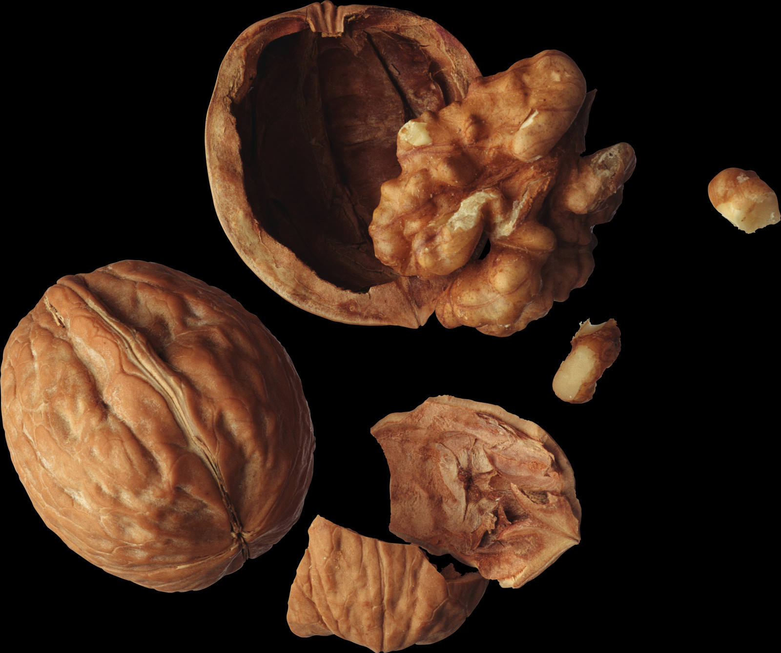 Walnut Png Clipart (1600x1338), Png Download