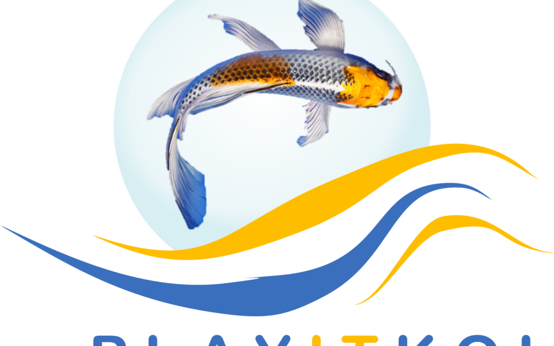 Play It Koi Clipart (1080x675), Png Download