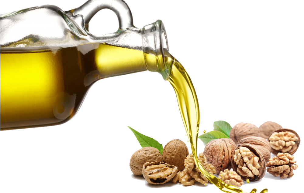 Walnut - Anointing Oil Png Clipart (1000x636), Png Download