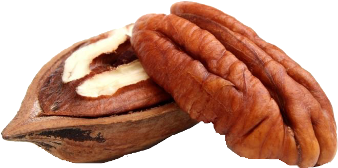 Walnut Png Clipart (700x525), Png Download