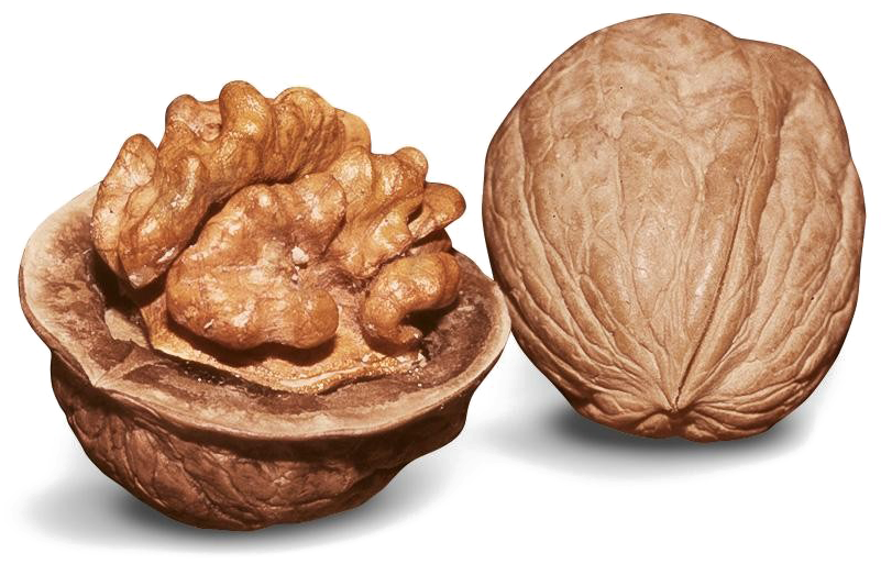 Walnut Png Image Clipart (800x800), Png Download
