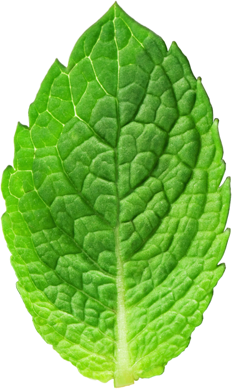 Fabric Texture Png Clipart (455x760), Png Download