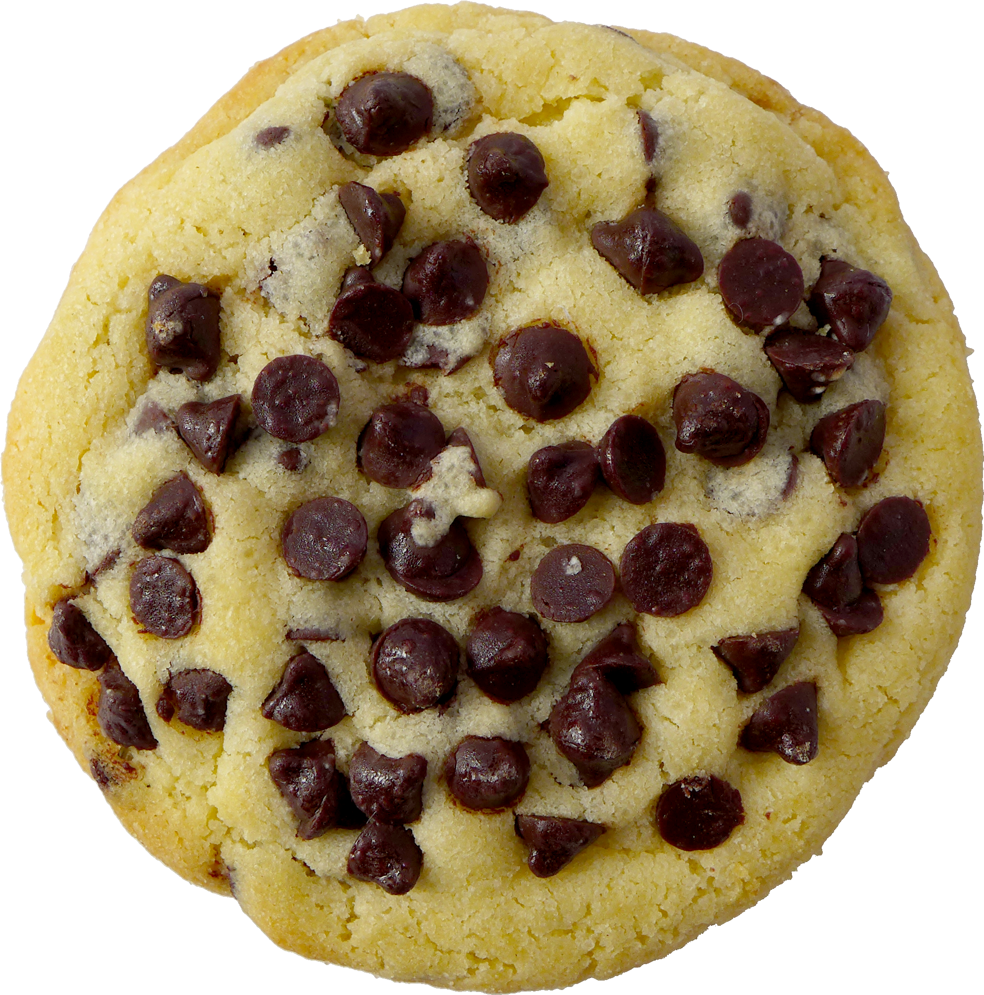 Walnut - Soul Cake Clipart (2104x2112), Png Download