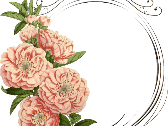 Vintage Flower Clipart Mexican Flower - Png Download (640x480), Png Download