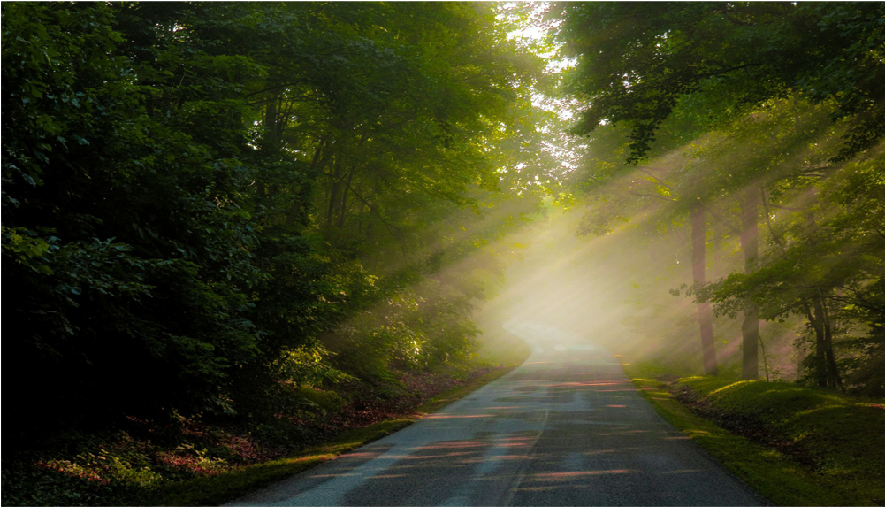 Green Lens Flare Png Clipart (1000x1000), Png Download