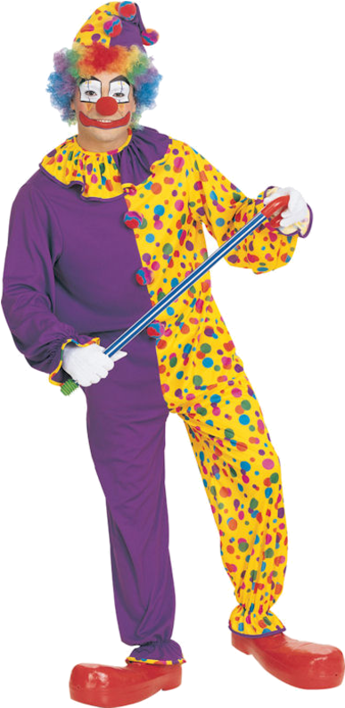 Clown Wig Png Clipart (500x793), Png Download