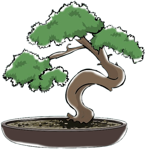 Bonsai Clipart - Bonsai Dibujo Png Transparent Png (728x546), Png Download