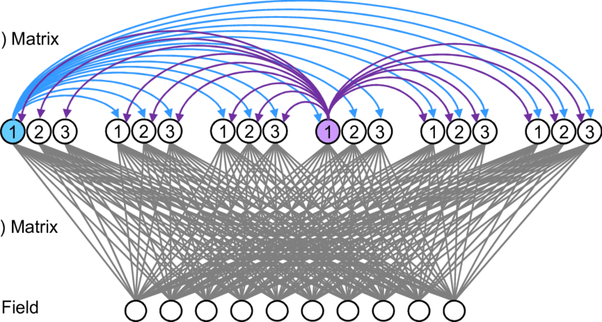 The H Matrix Mediates Signals From The Single Fully - Drawing Clipart (850x455), Png Download