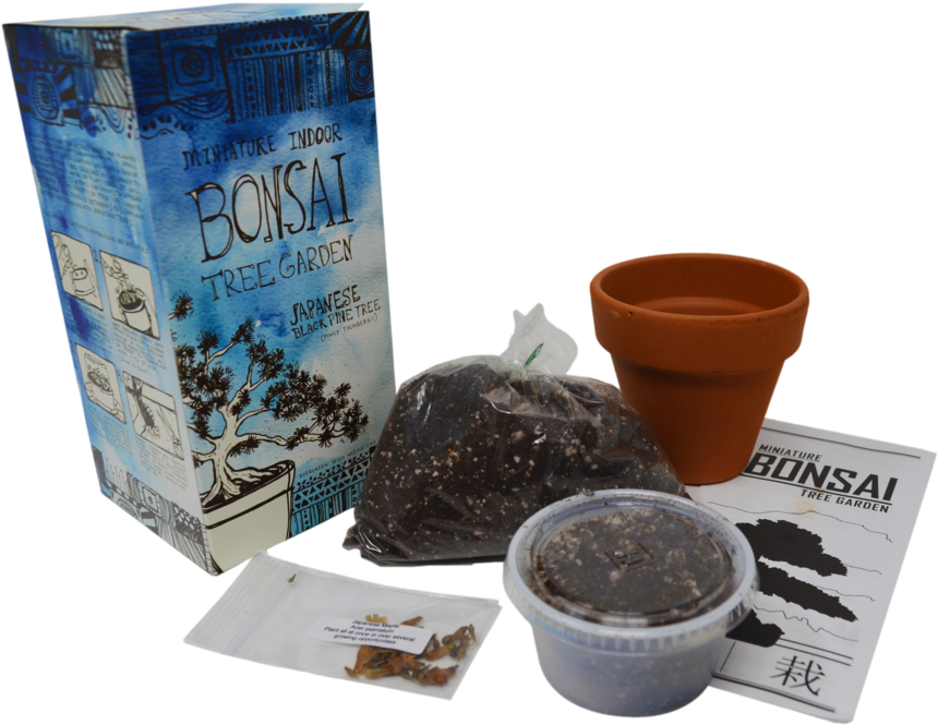 Diy Miniature Indoor Bonsai Tree Garden Clipart (860x665), Png Download