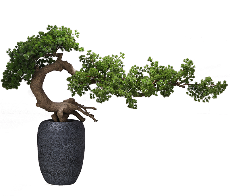 Single Flower Tree Plus Vase (size 100x80) Single Tree Clipart (800x800), Png Download