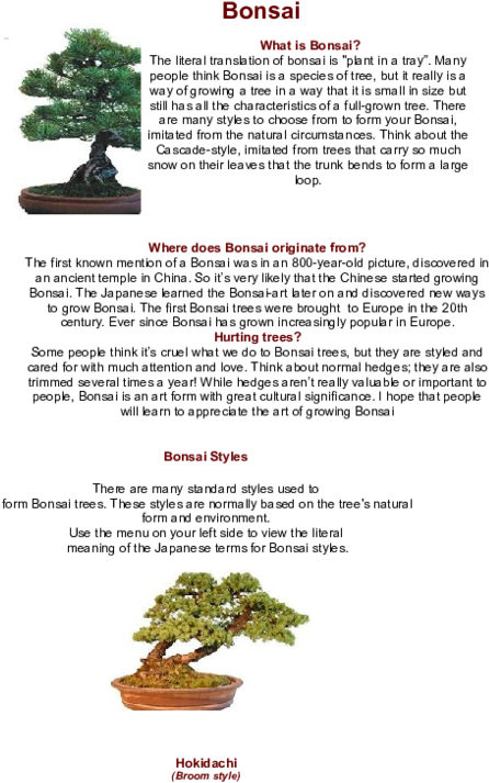 Doc - Bonsai Boom Clipart (600x776), Png Download