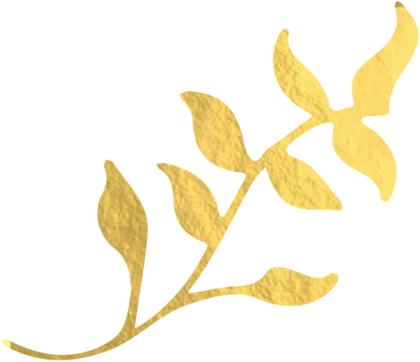 Image Left Png Animal - Golden Leaf Clear Background Clipart (640x640), Png Download