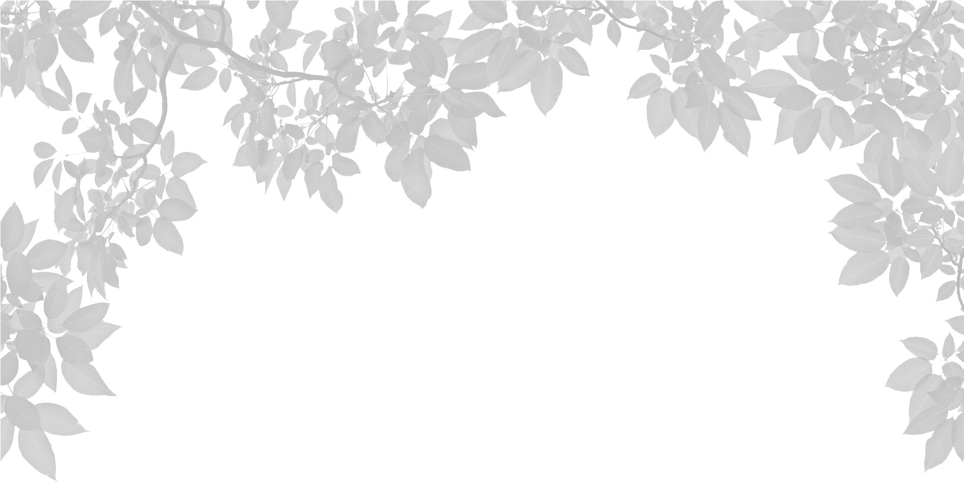 Leaves Tower Estate Wines - Transparent White Leaves Png Clipart (1894x1056), Png Download