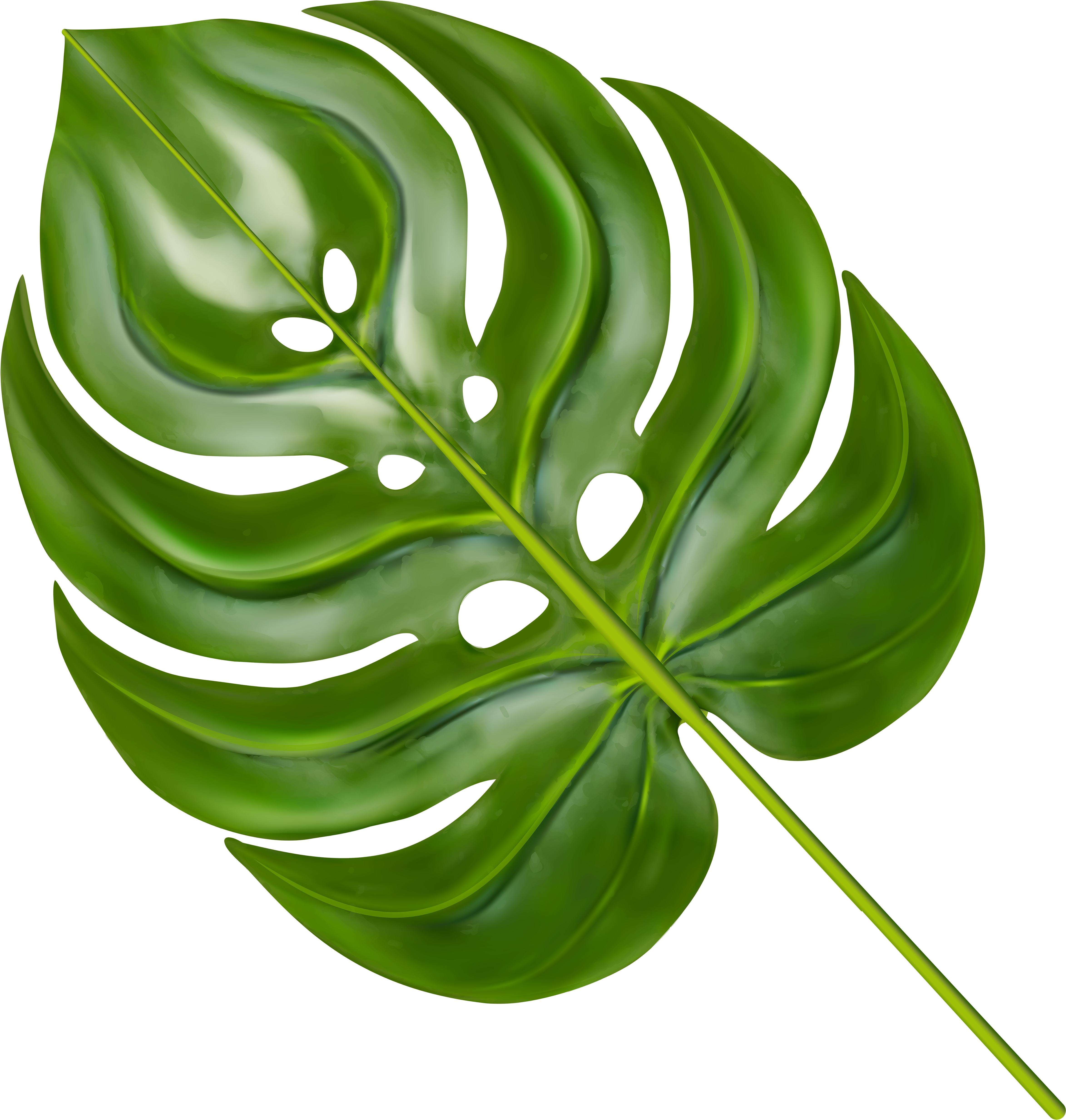 Transparent Leaves Monstera Clipart (4829x5000), Png Download