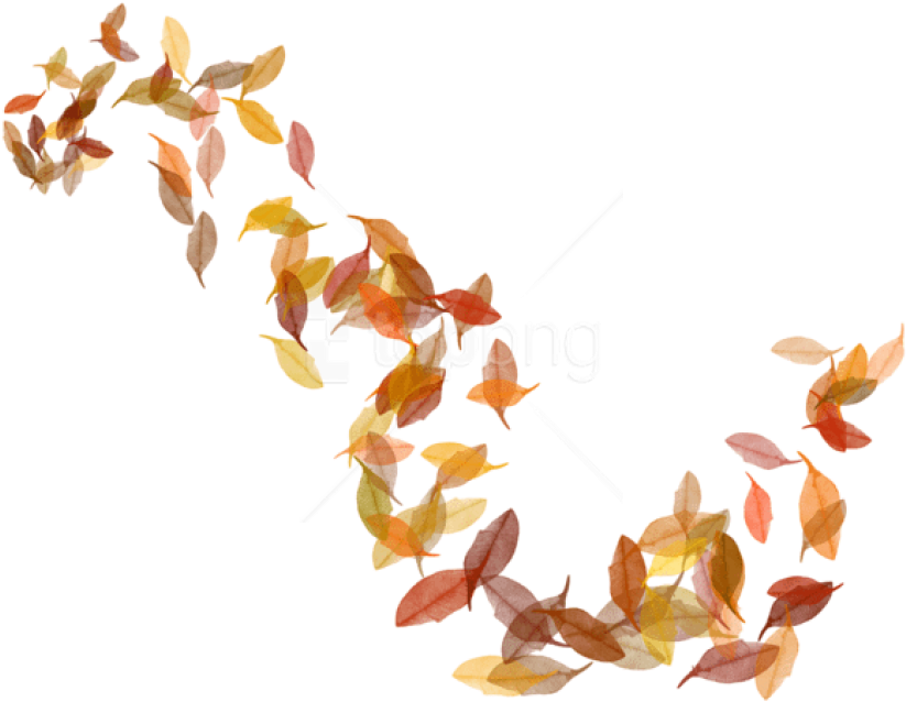 Free Png Png Images Transparent - Autumn Leaves Png Transparent Clipart (850x659), Png Download