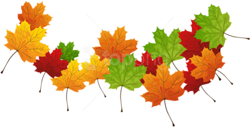 Free Png Download Fall Transparent Leaves Clipart Png - Transparent Pictures Of Leaves (850x465), Png Download