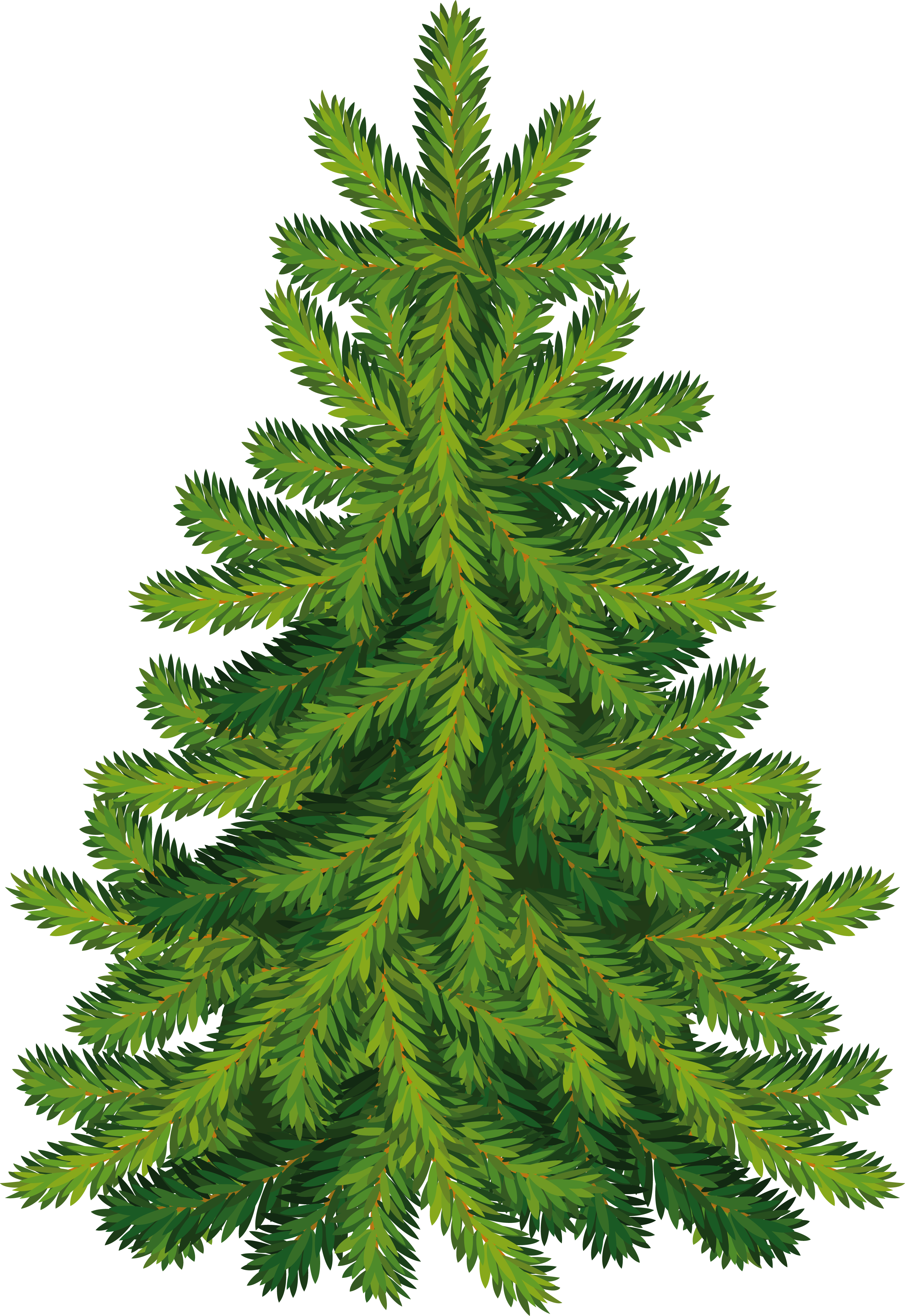 Christmas Clipart, Coniferous Trees, Tree Graphic, - Christmas Tree - Png Download (2469x3589), Png Download