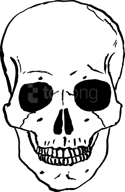Free Png Download Skulls Clipart Png Photo Png Images - Human Skull Cartoon Transparent Png (480x736), Png Download