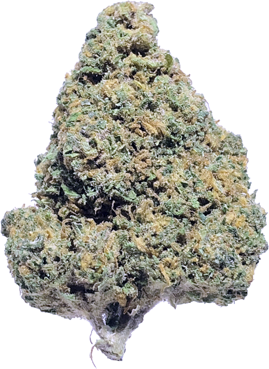 Blue Dragon - Outcrop Clipart (800x800), Png Download