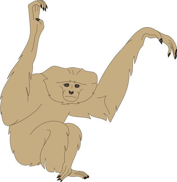 Monkey Arms Clipart (576x594), Png Download