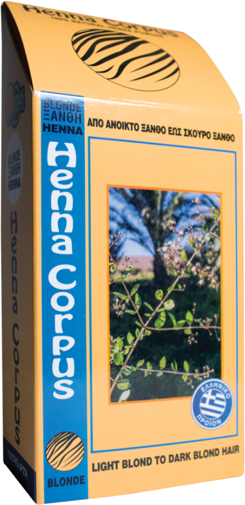 Tree Clipart (1100x1100), Png Download