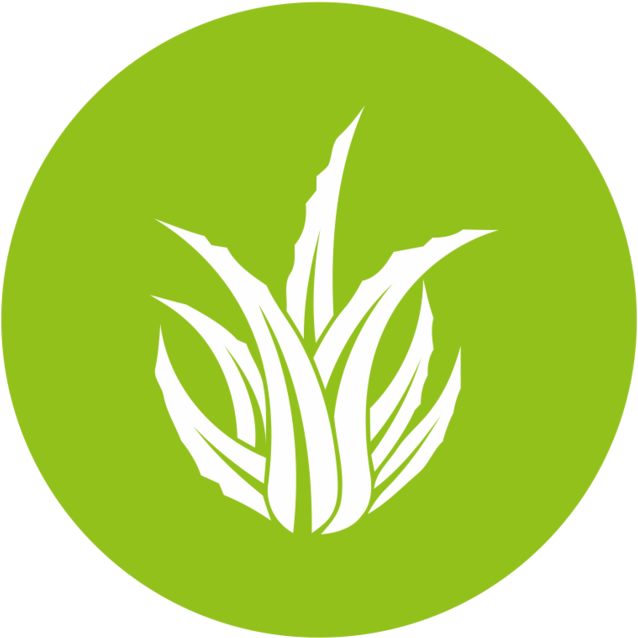 Aloe Icon - Aloe Vera Logo Png Clipart (1000x1000), Png Download