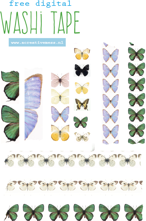 Washi Tape Png - Papilio Machaon Clipart (568x853), Png Download