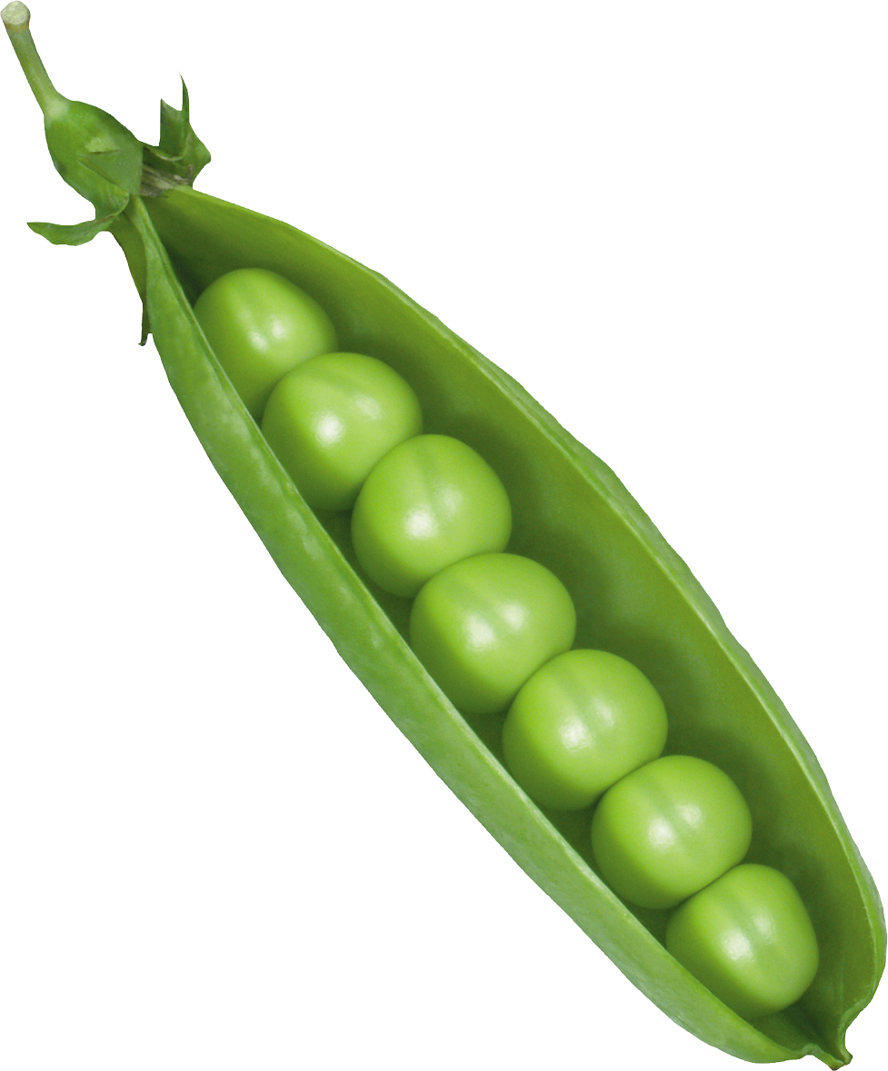 Peas Png - Pea Transparent Background Clipart (977x1179), Png Download