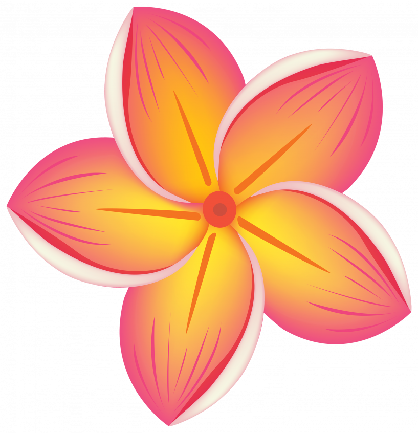 Flower Clipart Png Transparent Png (817x846), Png Download