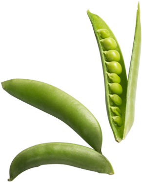 Peas - Illustration Clipart (866x650), Png Download