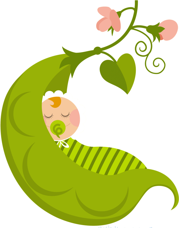 Png Transparent Baby Pea Pod Png Transparent Baby Pea - Baby In A Pod Clipart (642x779), Png Download