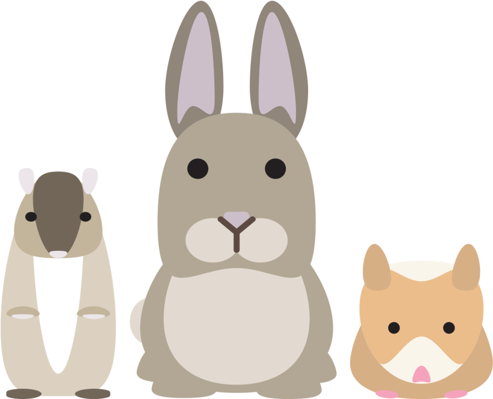 Small Animal Products Clipart (1000x785), Png Download