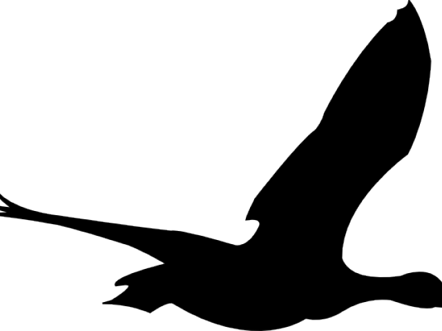 Bird Clipart Png Transparent Png (640x480), Png Download