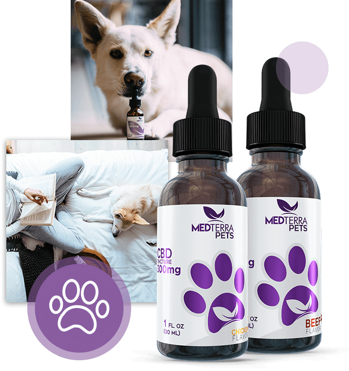 Medterra Pets Family Shoot Clipart (716x760), Png Download