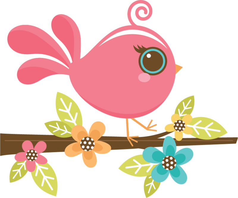 800 X 666 6 Clipart (800x666), Png Download
