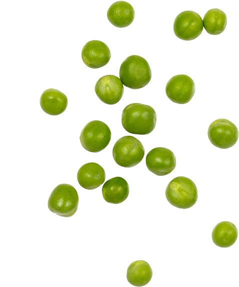 Organic Peas - Circle Clipart (600x600), Png Download