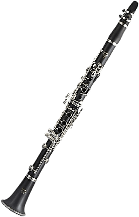Download - Clarinet Clipart Transparent Background - Png Download (750x750), Png Download