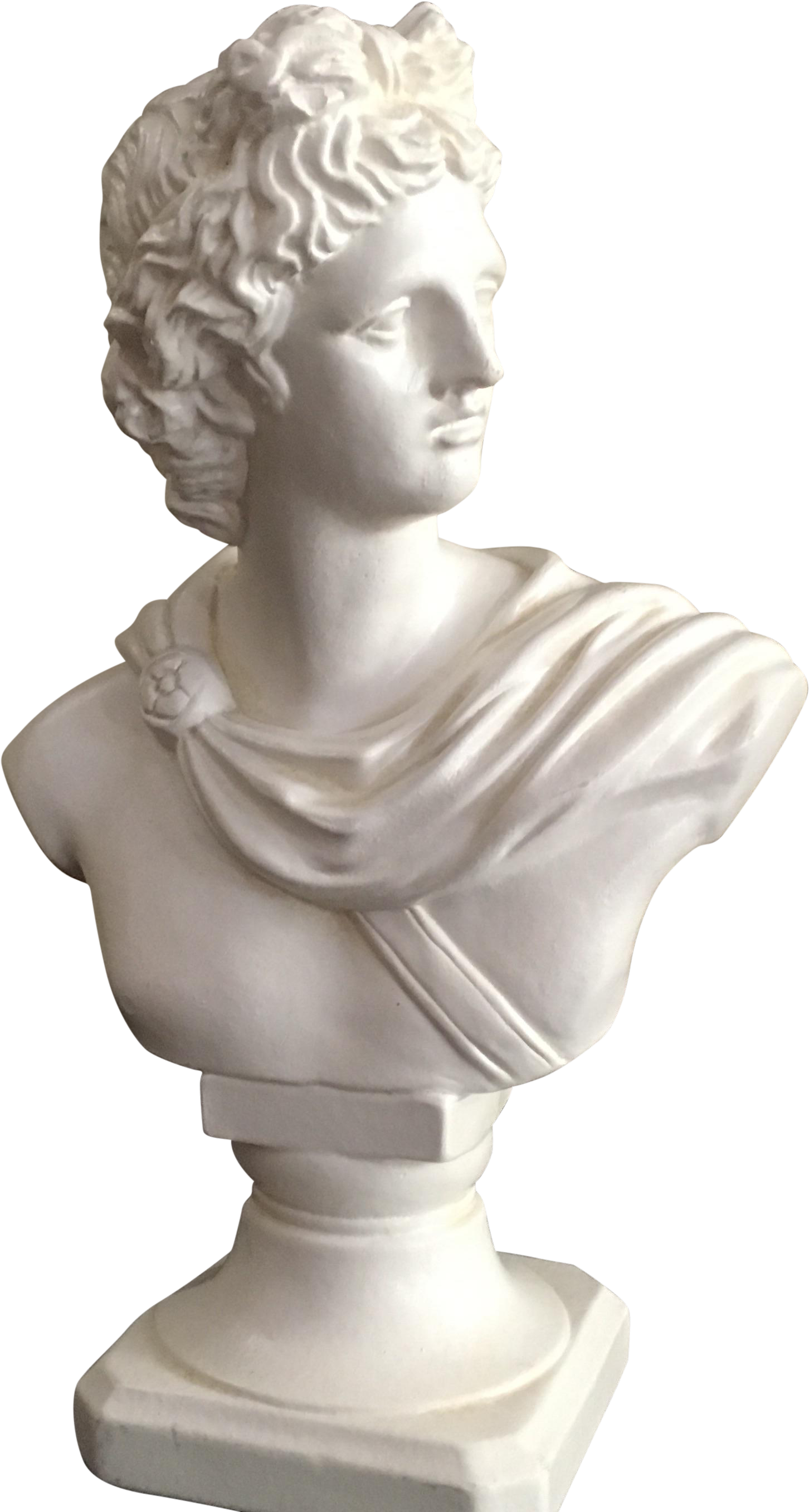 Apollo Drawing Bust - Bust Clipart (1612x3014), Png Download