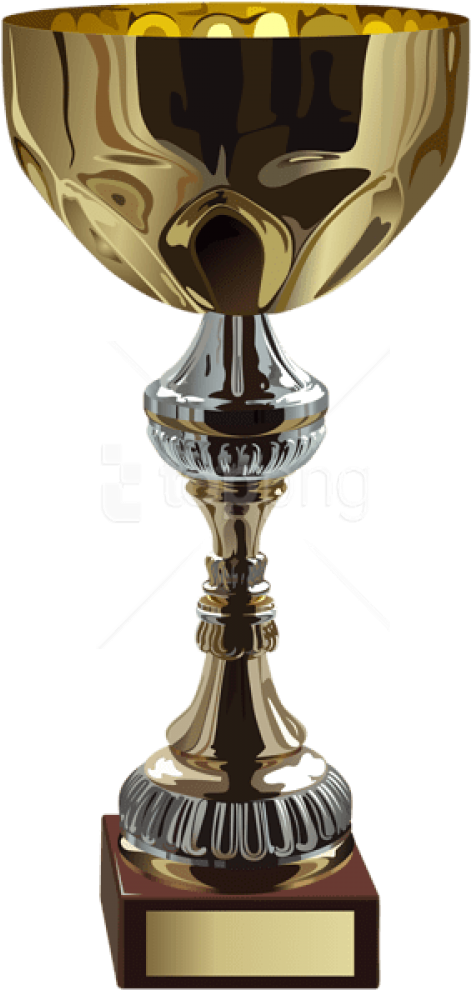 Download Gold Cup Trophy Clipart Png Photo - Football Ball Transparent Png (480x1000), Png Download