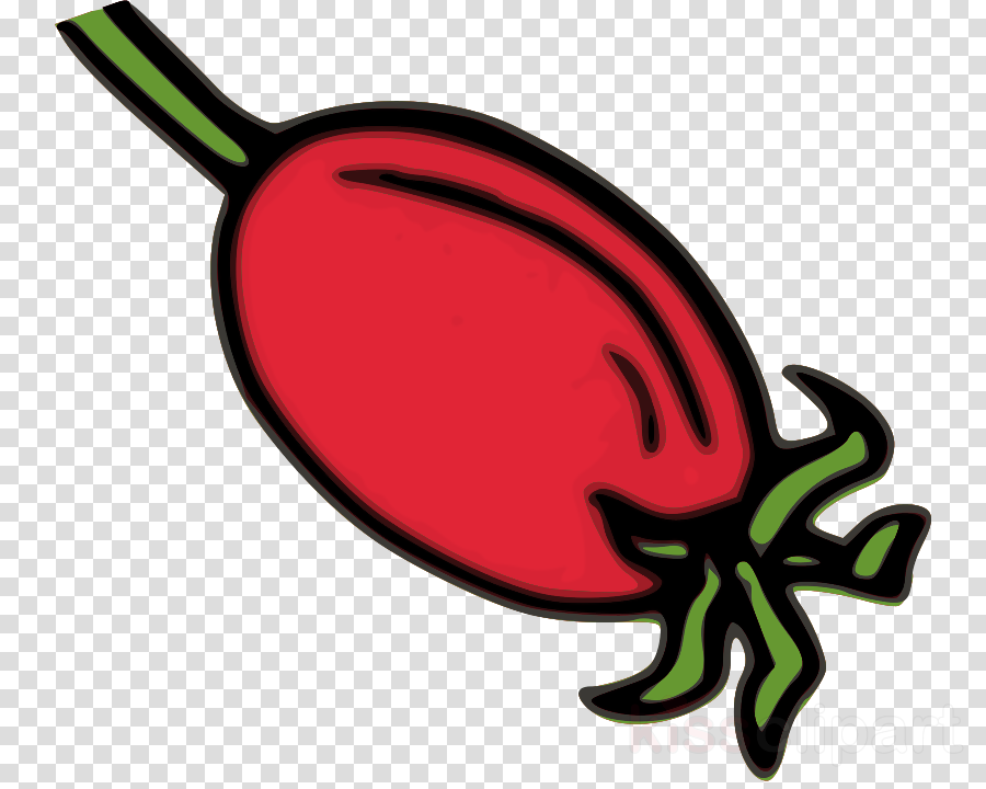 Download Rose Hips Clip Art Clipart Rose Hip Dog Rose - Logos Dream League Soccer 2019 - Png Download (900x720), Png Download