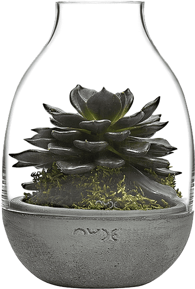 Nude Glass Eden Clipart (540x660), Png Download