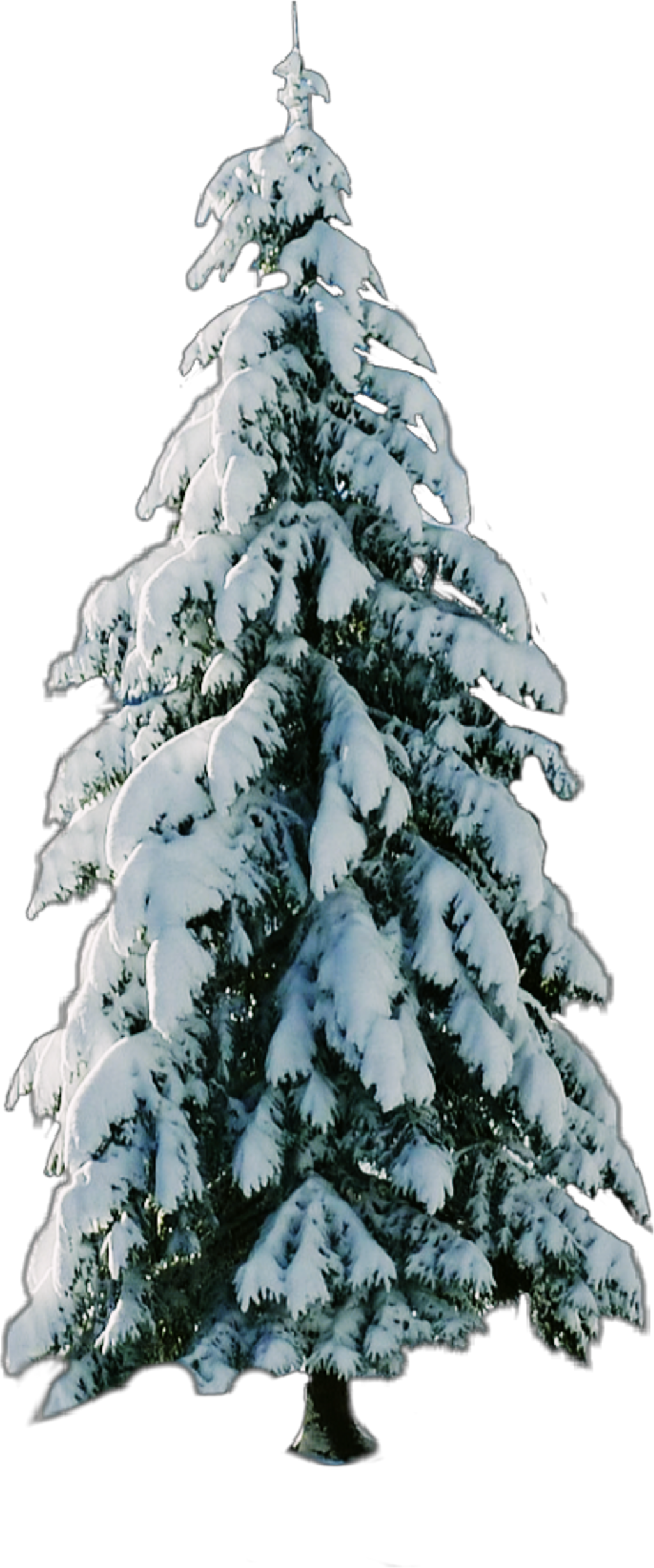 Christmas Tree , Png Download - Christmas Tree Clipart (1024x2456), Png Download