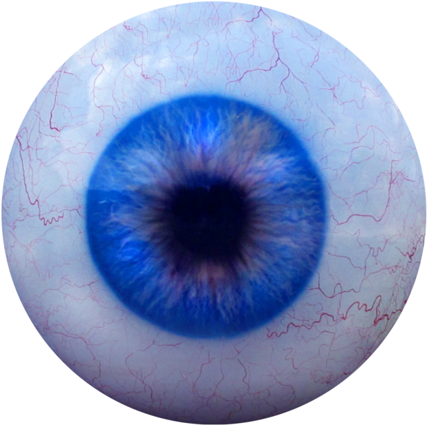 Scary Eye Png - Transparent Creepy Eyeball Png Clipart (1024x768), Png Download