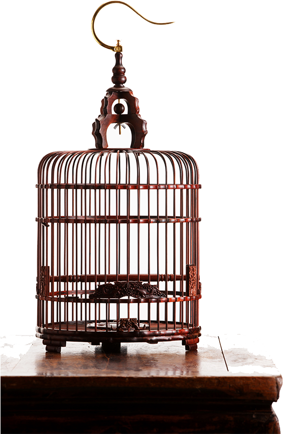 Birdcage Png Pic - Jaula Estilo Vintage En Png Clipart (900x900), Png Download
